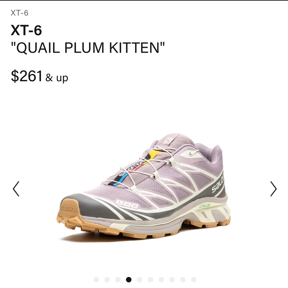 Salomon Men's Trail Running Shoes XT-6